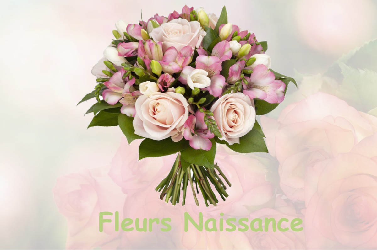 fleurs naissance PUYOL-CAZALET